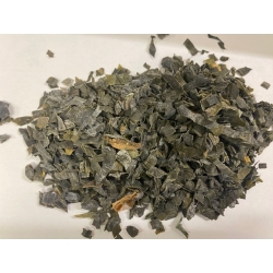 Laminaria Listownica Japońska 1 Kg